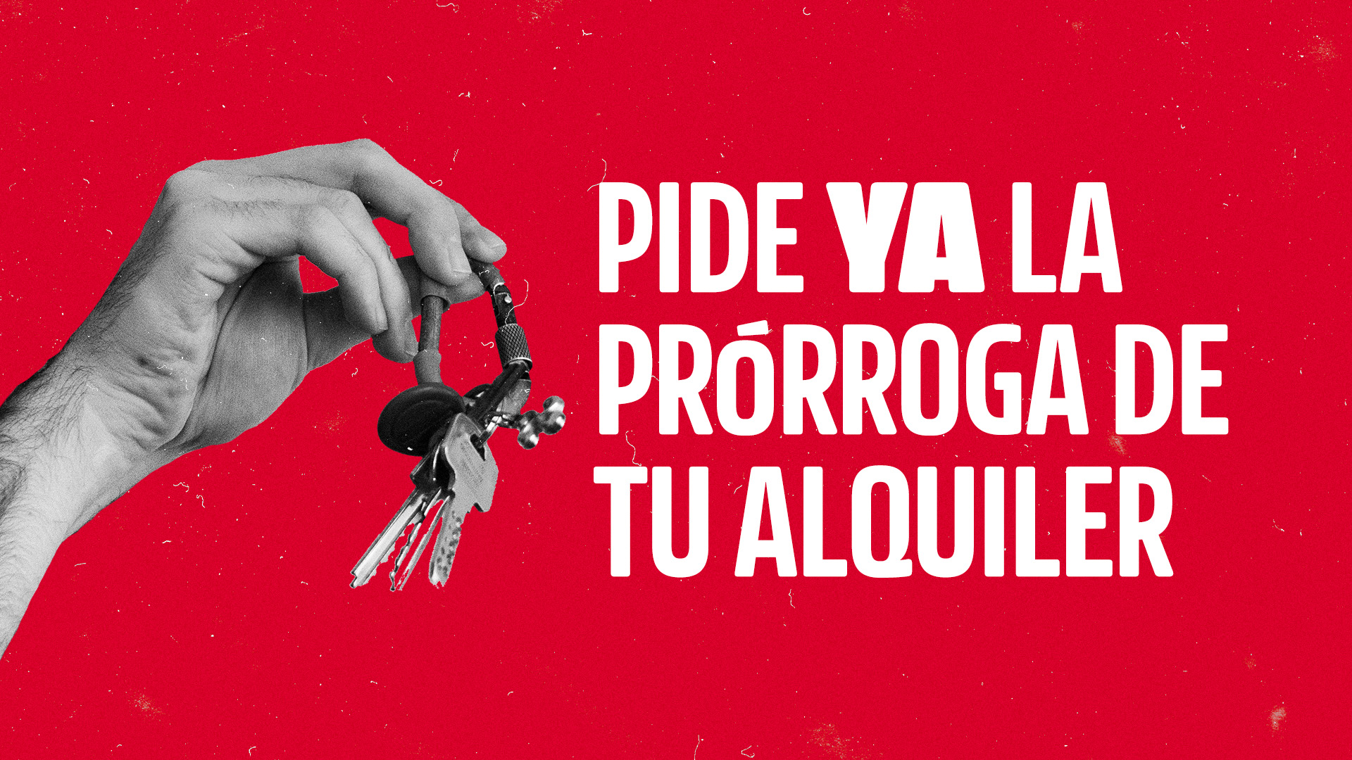 Pide YA la prórroga de tu alquiler